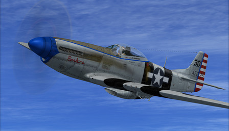 Warbirdsim P-51D Mustang 