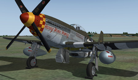 Warbirdsim P-51D Mustang 