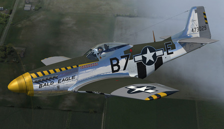 Warbirdsim P-51D Mustang 