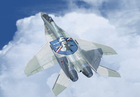 34771612010134.jpg