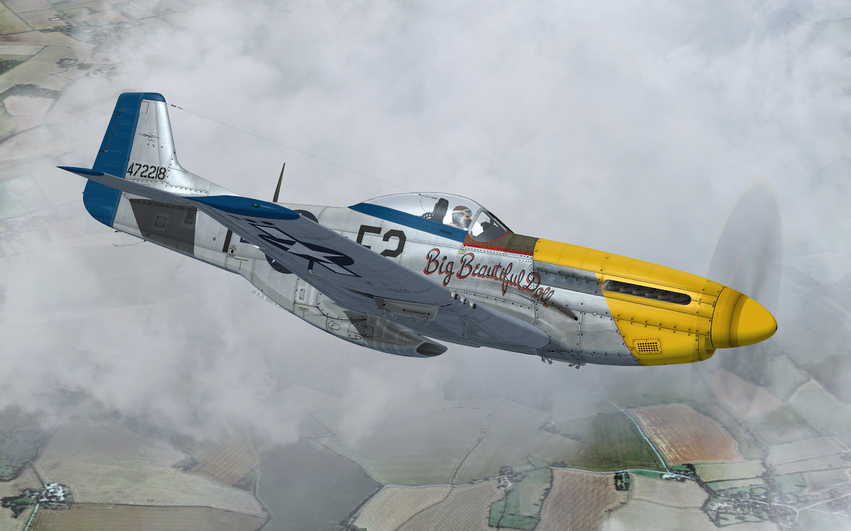 Warbirdsim P-51D Mustang 