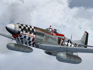 Warbirdsim P-51D Mustang 