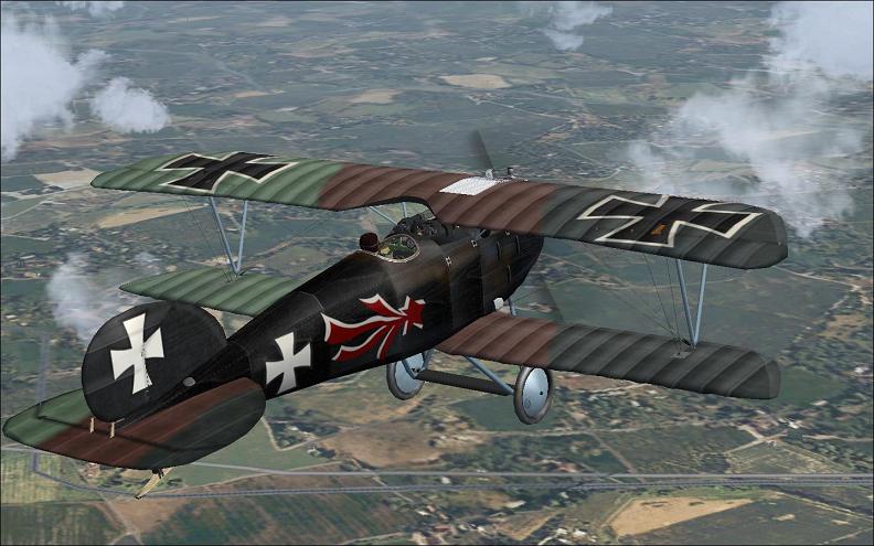 Albatros D.III Joachim von Bertrab | SOH Forums