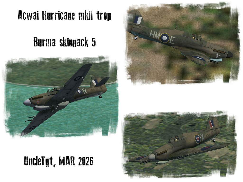 AW_Hurricane_Burma_skinpack5_UT.jpg