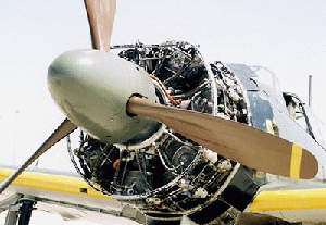 CFS2-FS9_mz-A6M2b_sound.gif