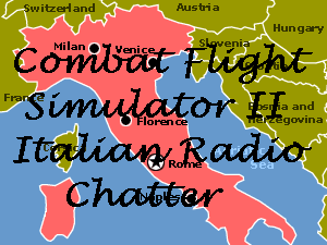 Combat Flight Simulator 2 Italian Radio Chatter.gif