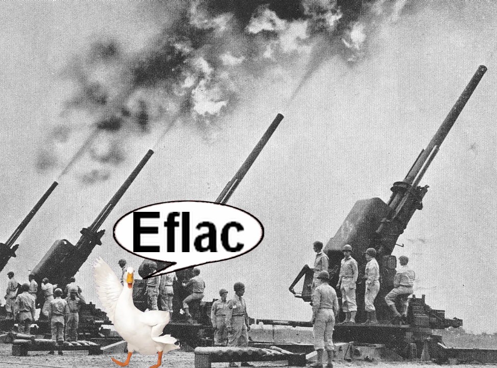 EuroFlak.jpg