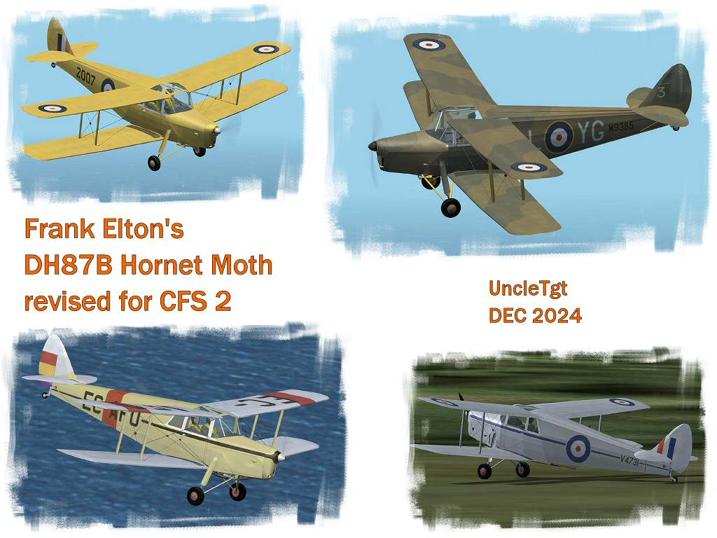 FE_DH87B_HornetMoth_UT.jpg