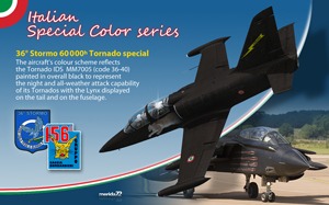 Fictitious L-39 Italian Air Force.jpg