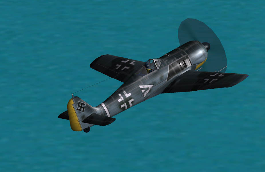 fw190-5.jpg