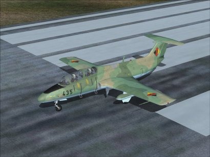 L-29 DDR Cammo.jpg