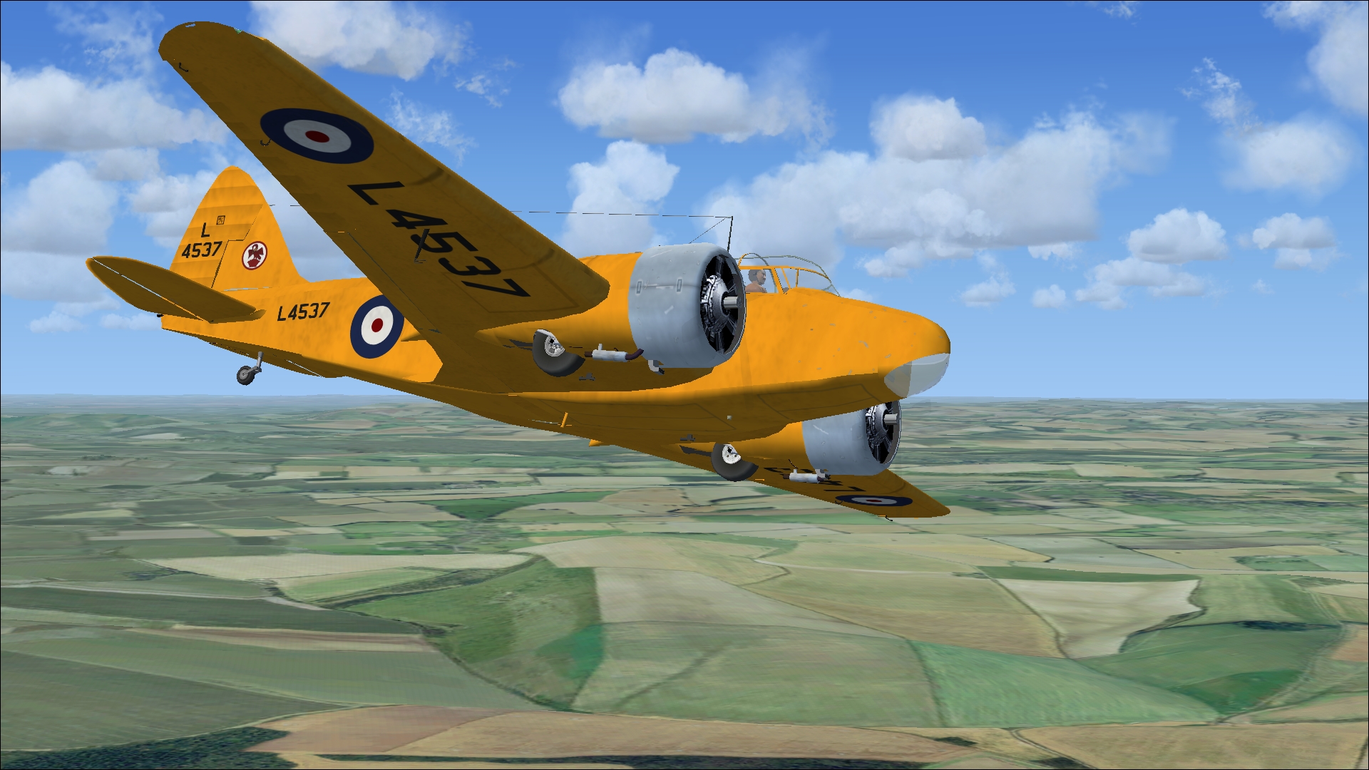 l4537.jpg