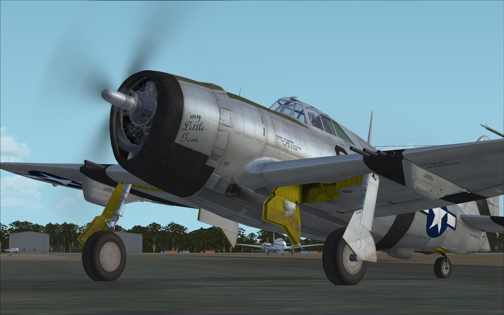 P-47D 81st FG-91st FS My Little Gem.jpg