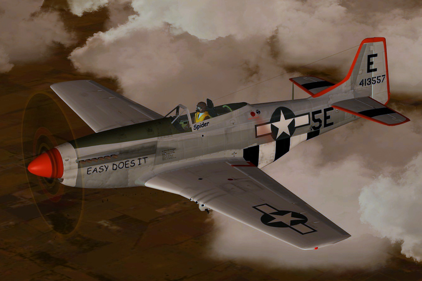 P-51D 1st SF Easy does it.jpg