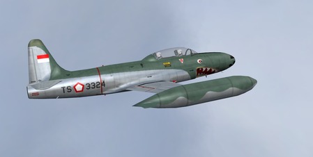 Piglet T-33 AURI repaint.jpg