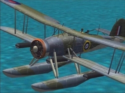 rdn_sw23.JPG