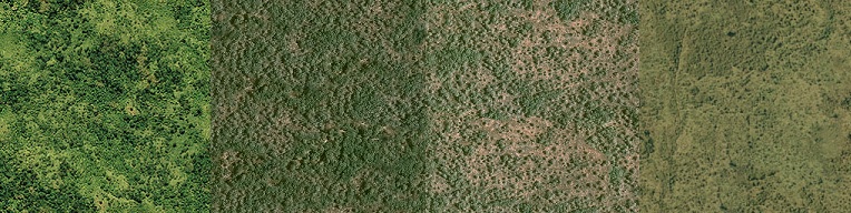 texture.jpg