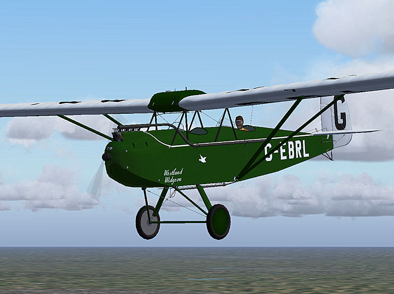 Widgeon-03.jpg