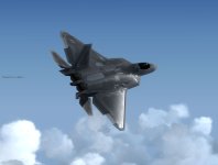 F22.jpg