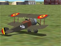 SC-Belg5.jpg