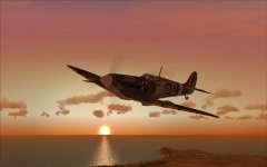 FSX Spitfire V _01.jpg