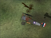 FG-D.jpg