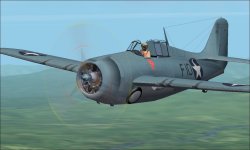 F4F-4 Wildcat Register 4.JPG