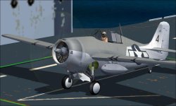 FM-1 Wildcat.JPG
