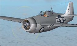 FM-1 Wildcat A.JPG