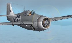 FM-1 Wildcat B.JPG