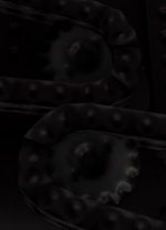 guess_01.jpg