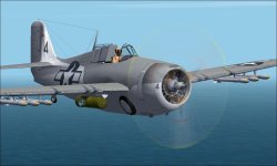 FM-1 Wildcat G.JPG