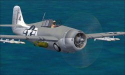 FM-1 Wildcat J.JPG