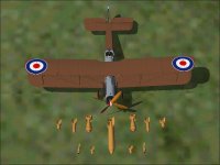 British Display.jpg