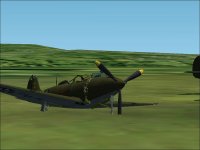 P39-dmg.jpg