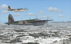 Mossie pair.jpg