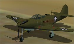 P-39D Plain.jpg