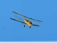 Tigermoth III.jpg