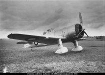 Fokker D XXI Army Air Corps 2.jpg