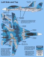 F-14A_NSAWC_Camo-01.jpg