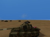 tiger2.jpg