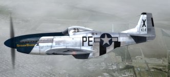 JK_P-51D_352nd_PE-X_StrawBoss2.jpg