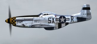 JK_P-51D_353rd_SX-R_el_Gato.jpg