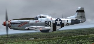 JK_A2A_P-51D_339th_5Q-A_Fabasca.jpg