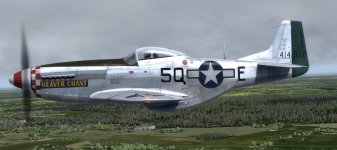 JK_A2A_P-51D_339th_5Q-E_Beaver_Chant.jpg