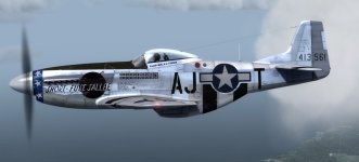 JK_A2A_P-51D_354th_AJ-T_Sallee.jpg