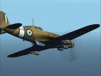 MC205_50kgGP.jpg