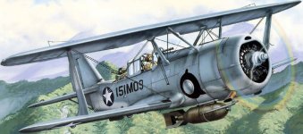 Curtiss Helldiver 1.jpg