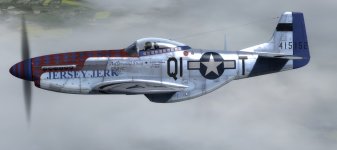 JK_A2A_P-51D_356th_QI-T_Jersey_Jerk.jpg