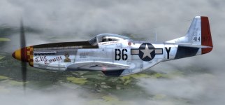 JK_A2A_P-51D_357th_B6-Y_the_Count.jpg